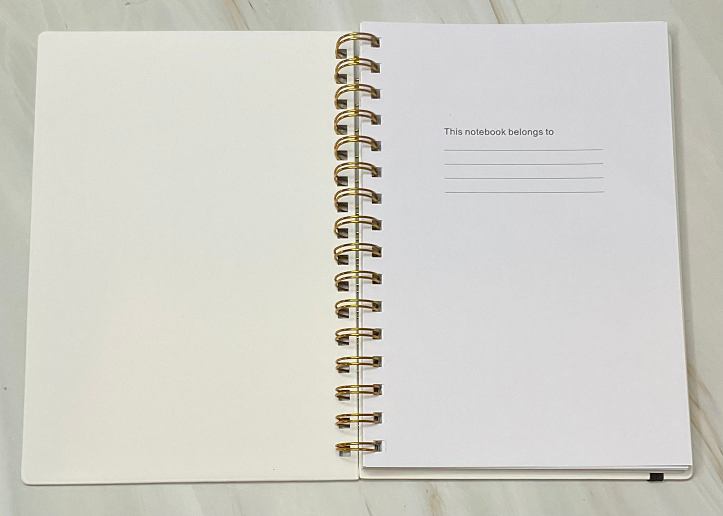 Goals Daily Planner: To-Do List Organizer