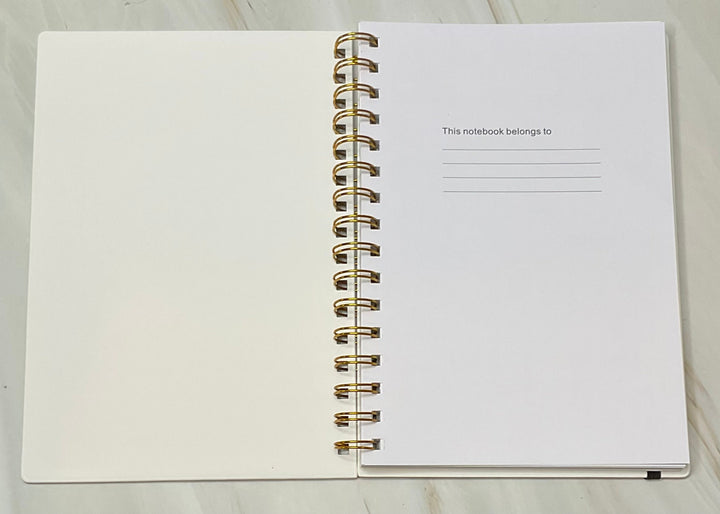 Goals Daily Planner: Plan For Success