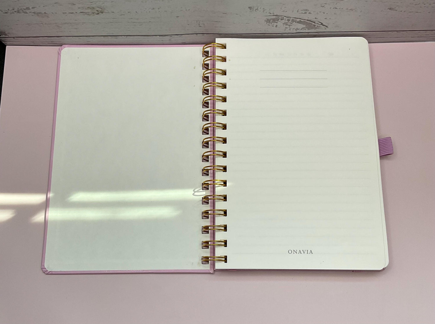 Seize the Day Journal: Pink Hard Cover, Mindfulness Gift